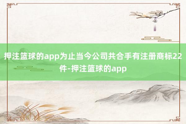 押注篮球的app为止当今公司共合手有注册商标22件-押注篮球的app