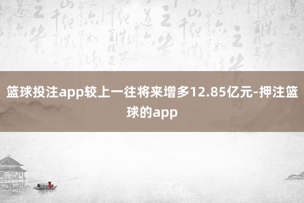 篮球投注app较上一往将来增多12.85亿元-押注篮球的app